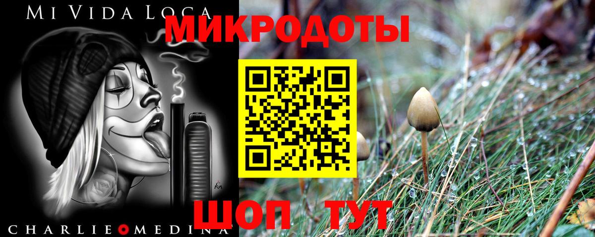 Галлюциногенные грибы Psilocybine cubensis Можга