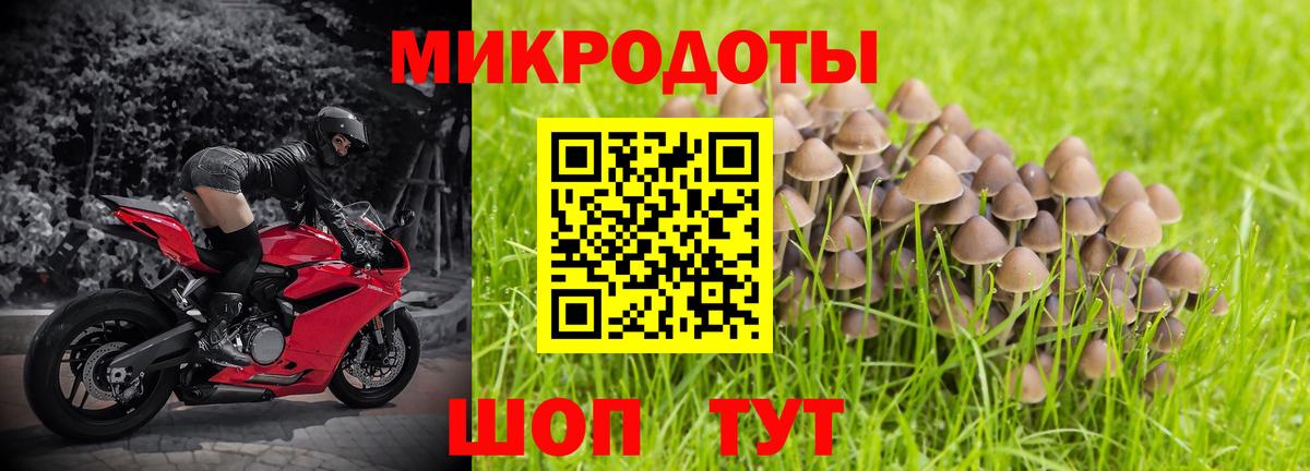 Можга  Галлюциногенные грибы Magic Shrooms  Вход с VPN  Галлюциногенные грибы GOLDEN TEACHER 